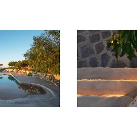 Morfia * Piso Livadi